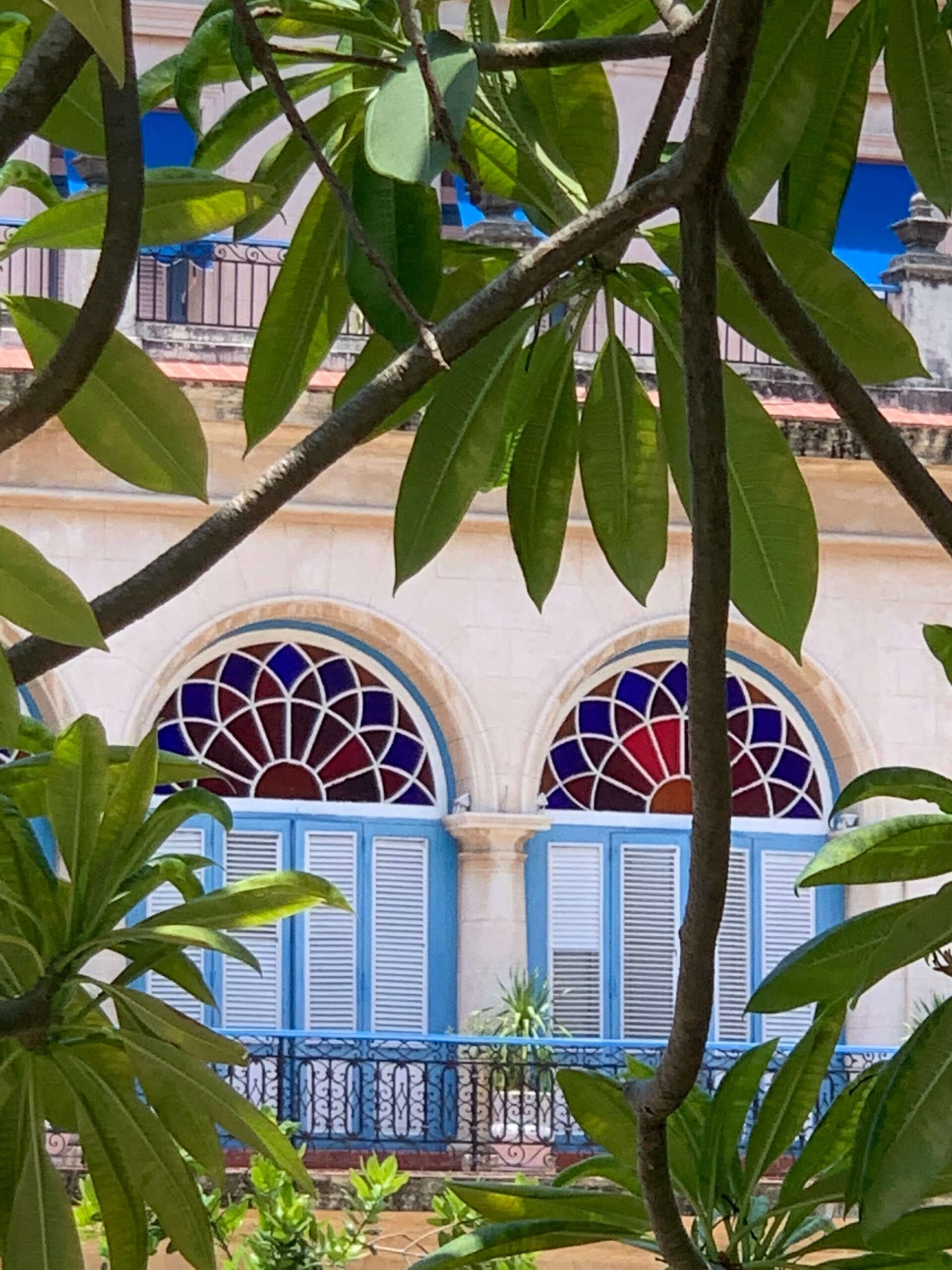 Our Work - Cuba Foundation